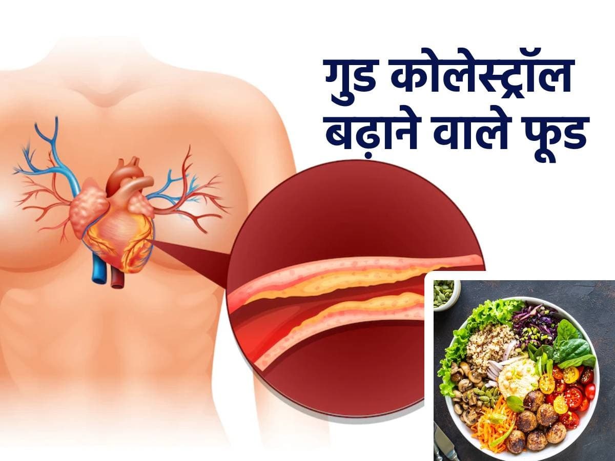 good-cholesterol-hdl-food-source-in-hindi