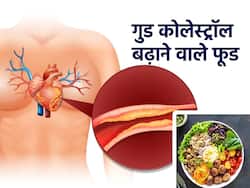 सर्दियों में ये 5 फूड बढ़ाते हैं गुड कोलेस्ट्रॉल और अपने आप कम होने लगता है खराब कोलेस्ट्रॉल