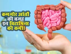 शरीर में इन विटामिन्स की कमी से कमजोर होने लगती हैं आपकी आंतें! जानें Gut Health के लिए जरूरी विटामिन्स