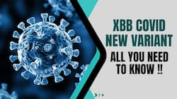 Omicron XBB.1.5: Why New Strain Variants Are On A Surge, After BF.7 New Omicron Virus Enters India, Watch Video