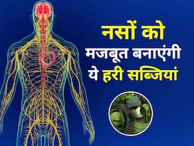 नसों में जान डाल देंगी ये सब्जियां, जानें ऐसी 5 हरी सब्जियों के बारे में जो दूर करेंगी नसों की बीमारियां नसों में जान डाल देंगी ये सब्जियां, जानें ऐसी 5 हरी सब्जियों के बारे में जो दूर करेंगी नसों की बीमारियां