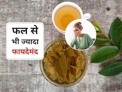 इस पेड़ के फल से भी ज्यादा फायदेमंद है पत्ता, सुबह खाली पेट खाने से दूर होंगी हाई बीपी और डायबिटीज जैसे रोग