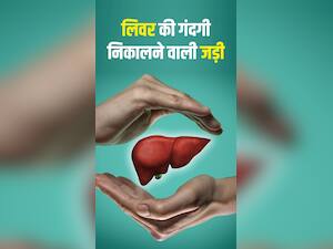 लिवर को डिटॉक्स कर देंगी ये जड़ी-बूटियां