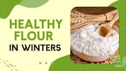 Healthy Flour In Winters: Healthier Alternative & Options Of Flour Other Than Wheat, Watch Video