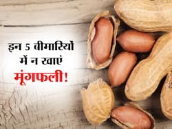 शरीर में हो ये 5 बीमारियों तो भूलकर भी न खाएं मूंगफली! फायदे की जगह शरीर को होगा ज्यादा नुकसान