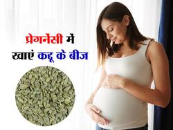 Pumpkin Seeds Benefits in Pregnancy: प्रेगनेंसी में जरूर खाएं कद्दू के बीज, मिलेंगे ये 5 जबरदस्त फायदे