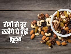 सुबह खाली पेट खाएं पानी में भीगे ये 5 Dry Fruits, हेल्दी रहेगा Heart, कंट्रोल रहेंगी Diabetes Cholesterol जैसी बीमारियां