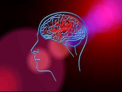 Brain Stroke: Study Finds New Method To Heal Patients After A Stroke