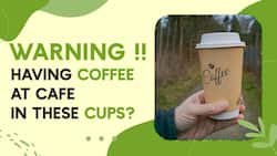 Coffee Cups For Health: How Having Coffee At Cafes Can Harm Your Health, Watch Video
