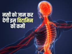 Vitamin b12 Diet: शरीर की एक-एक नस को सुन्न कर देगी विटामिन बी12 की कमी, इन चीजों से सेवन कमी होगी दूर