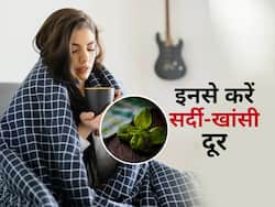 सर्दियों में बार-बार खांसी-जुकाम से परेशान? आज ही लेना शुरू करें ये 5 चीजें, पूरे सीजन नहीं पड़ेंगे बीमार
