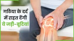 ये हैं वो Herbs जो Arthritis Pain से देंगे आपको राहत, Watch Video
