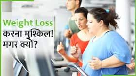 Weight Loss करना इतना मुश्किल काम क्यों होता है? जानें कहां है गलती? Watch Video Weight Loss करना इतना मुश्किल काम क्यों होता है? जानें कहां है गलती? Watch Video