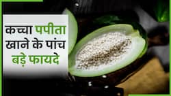कच्चा पपीता खाने के ये है फायदे, इन बीमारियों से करता है बचाव, Watch Video