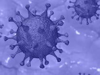 Myths And Facts Around New COVID Wave In India