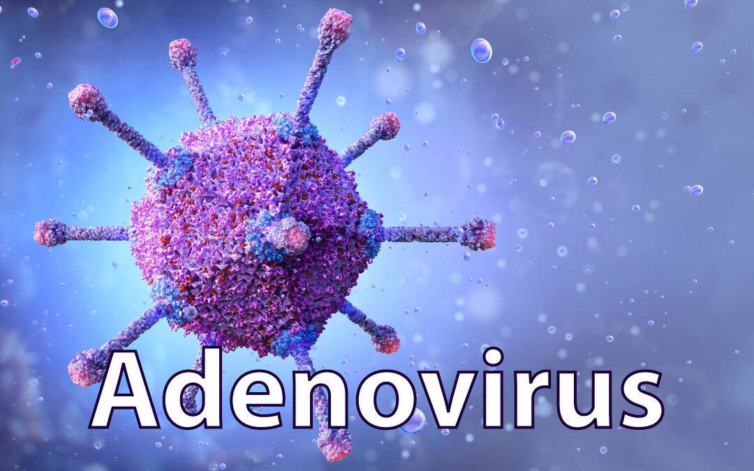 Adenovirus Alert Issued In Kolkata: The Virus Can Damage Respiratory System, Says Expert