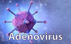 Adenovirus Alert Issued In Kolkata, West Bengal: The Virus Can Damage Respiratory System, Says Expert