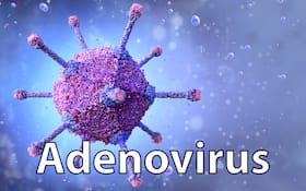 Adenovirus Alert Issued In Kolkata, West Bengal: The Virus Can Damage Respiratory System, Says Expert