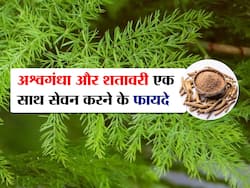 अश्वगंधा और शतावरी खाने से क्या होता है? जानिए फायदे और कैसे करना है सेवन
