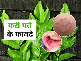 मुंह में छालों से लेकर खाज-खुजली तक में फायदेमंद होते है करी पत्ता, जानिए करी पत्ते के 5 जबरदस्त फायदे मुंह में छालों से लेकर खाज-खुजली तक में फायदेमंद होते है करी पत्ता, जानिए करी पत्ते के 5 जबरदस्त फायदे