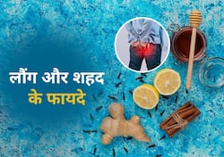 कब्ज, अपच और बवासीर की परेशानी दूर करे शहद और लौंग, जानें खाने का तरीका और फायदे