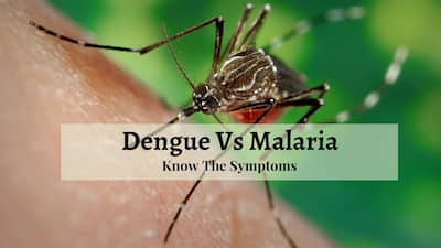 Dengue Vs Malaria: How To Understand What Is Causing Fever ...