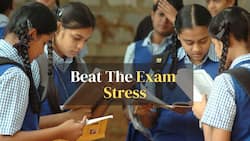 Class 10 And12 Board Exams 2023: How To Deal with Exam Stress? Experts Share 13 Best Ways
