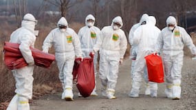 Flu Epidemic: Warning Issued In Japan After Country Reports Over 3 Lakh Infections In 7 Days