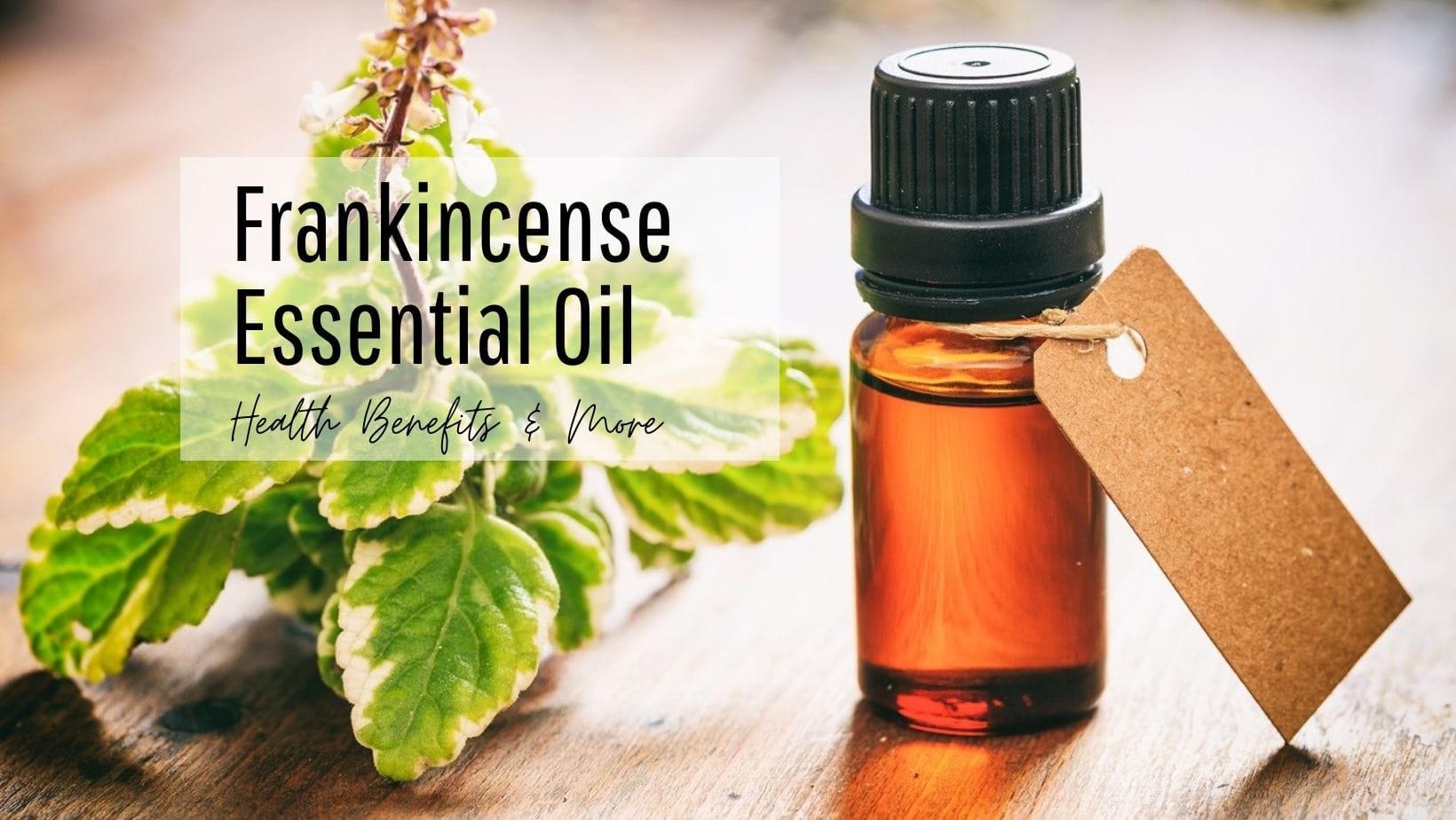 Frankincense Essential Oil: 5 Amazing Health Benefits of This Ayurvedic Oil