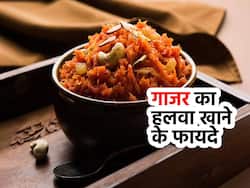 गाजर का हलवा खाने के फायदे जानकर हैरान हो जाएंगे आप, होते हैं कुछ नुकसान भी