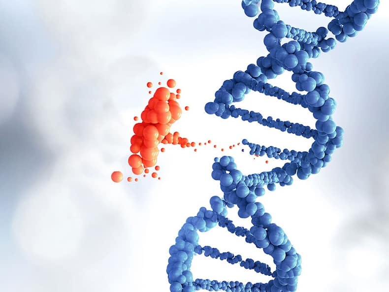 Common Questions About Genetic Testing For Cancer