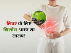 लिवर को स्वस्थ और मजबूत बना सकता है गिलोय, बस ना करें सेवन के दौरान ये 3 गलतियां