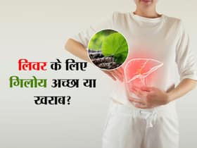 लिवर को स्वस्थ और मजबूत बना सकता है गिलोय, बस ना करें सेवन के दौरान ये 3 गलतियां