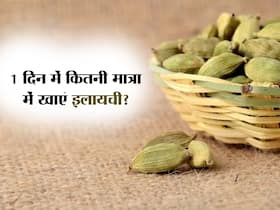 इलायची की तासीर ठंडी होती है या गर्म? जानिए 1 दिन में कितनी इलायची खानी चाहिए