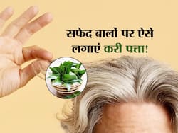 सफेद बालों को काला करने के लिए इस्तेमाल करें करी पत्ता, इन 3 तरीकों से करें इस्तेमाल