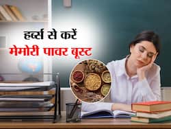 एग्जाम के स्ट्रेस से कुछ भी नहीं हो रहा है याद? इन हर्ब्स से अपनी मेमोरी पावर करें बूस्ट