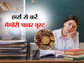 एग्जाम के स्ट्रेस से कुछ भी नहीं हो रहा है याद? इन हर्ब्स से अपनी मेमोरी पावर करें बूस्ट