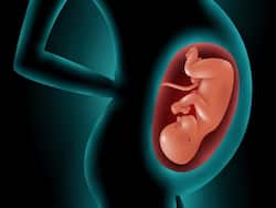 India   s First CAPA IVM Or Drug-Free IVF Baby Delivered In Telangana