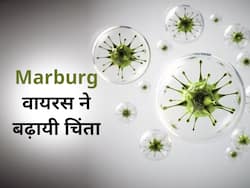 इन देशों में तेजी से फैल रहा है मारबर्ग वायरस, WHO की बढ़ी चिंता,समझें क्या है बीमारी और इसके लक्षण