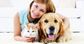 What Is The Relation Between Behaviour And Digestion In Pets? Expert Explains