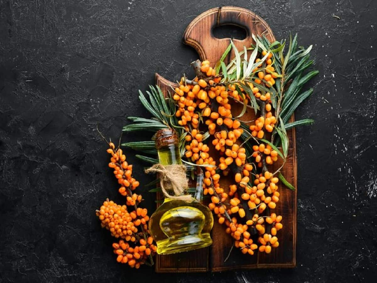 8 Health Benefits Of Sea Buckthorn Oil 