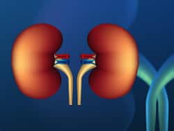 Chronic Kidney Disease: Healthy Practices People Should Adopt To Prevent CKD