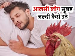 मुर्गा बोलने से पहले ही खुल जाएगी आपकी आंखें, जानिए आलसी लोग सुबह जल्दी कैसे उठें