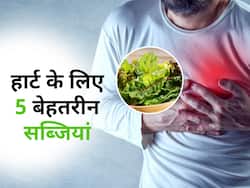 हार्ट अटैक के खतरे को रोक देती हैं ये 5 हरी सब्जियां, बढ़ा हुआ कोलेस्ट्रॉल भी रहता है कंट्रोल