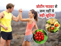 प्रोटीन पाउडर से भी ज्यादा ताकतवर हैं ये 4 जड़ी-बूटियां, ऐसे इस्तेमाल करने से मिलेगा डबल फायदा