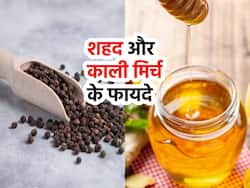 खांसी-जुकाम से लेकर वजन कम करने तक में उपयोगी है शहद और काली मिर्च, जानिए 5 बेहतरीन फायदे