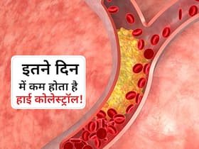 1-2 दिन में नहीं, इतने वक्त में कम होता है नसों में जमा कोलेस्ट्रॉल! जानें दवा से कोलेस्ट्रॉल कम होने का समय