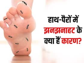 पैरों में झनझनाहट को न करें नजरअंदाज हो सकती है ये गंभीर बीमारी, डॉक्टर से तुरंत लें सलाह पैरों में झनझनाहट को न करें नजरअंदाज हो सकती है ये गंभीर बीमारी, डॉक्टर से तुरंत लें सलाह