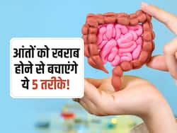 आंतों में जमा गंदगी से खराब हो सकता है आपका दिमाग! जानें आंतों की सफाई के 5 बेस्ट तरीके, याददाश्त भी होगी बूस्ट