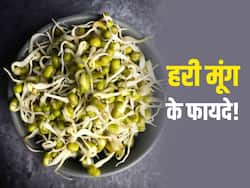 5 MM की जड़ वाली अंकुरित मूंग से दूर होंगी शरीर की ये 5 समस्याएं! जानें किन बीमारियों में रामबाण है हरी मूंग